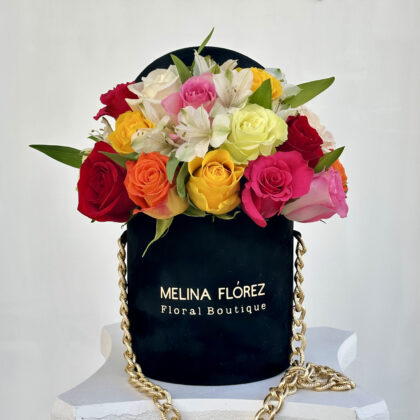 Delicacy and glamour are inside this little black velvet box with its golden strap accompanied by roses (multicolored) and astromelias (white). Ideal to accompany a dinner table.